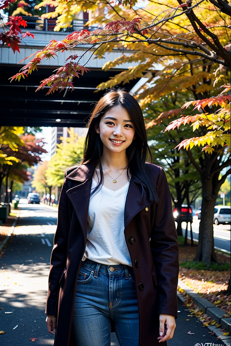 sd15__kouyou